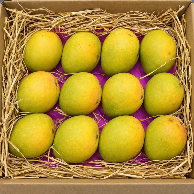 Devgad Alphonso Mango (Hapus) – 1 Dozen (180–200g Each)