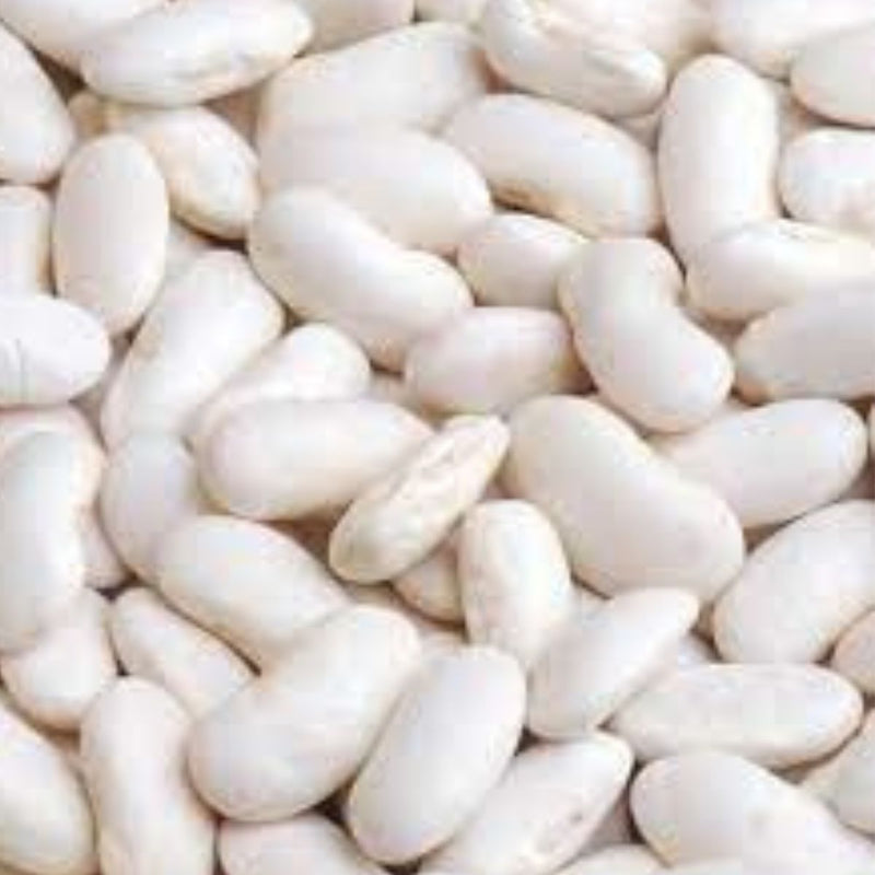 Harshil White Rajma