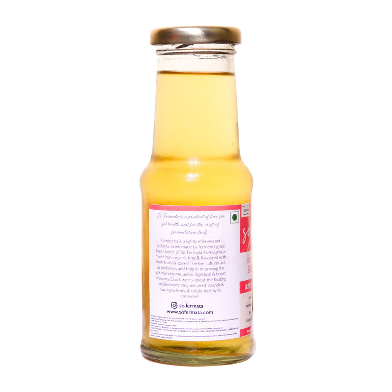 Fermented Tea-Apple Cinnamon
