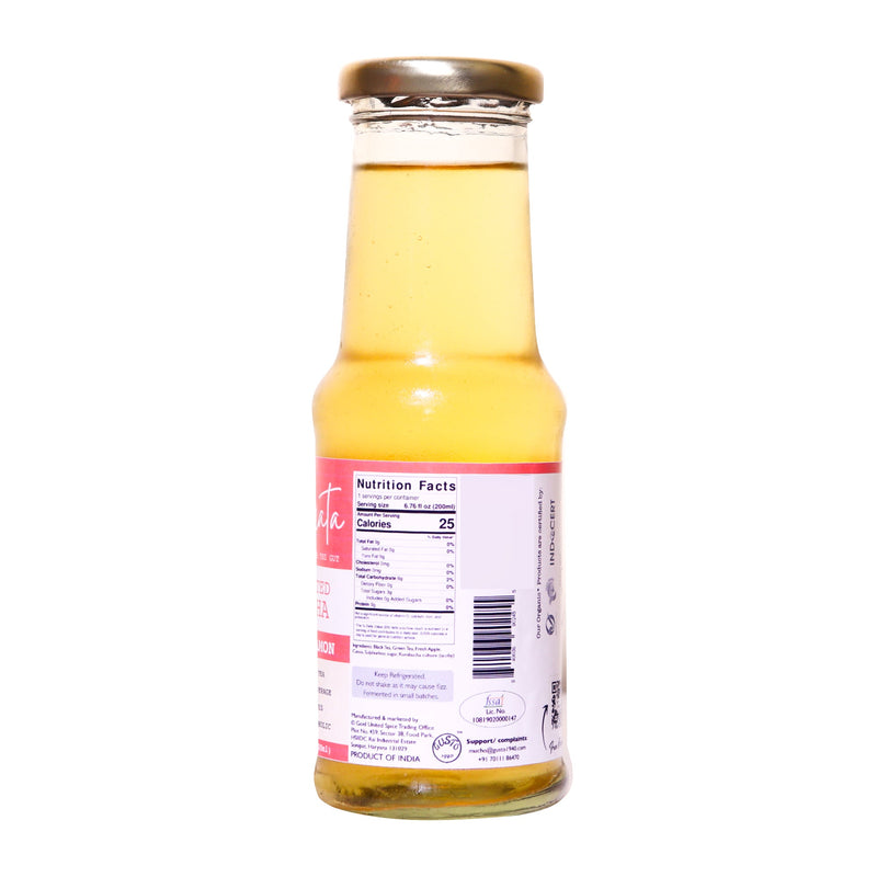 Fermented Tea-Apple Cinnamon