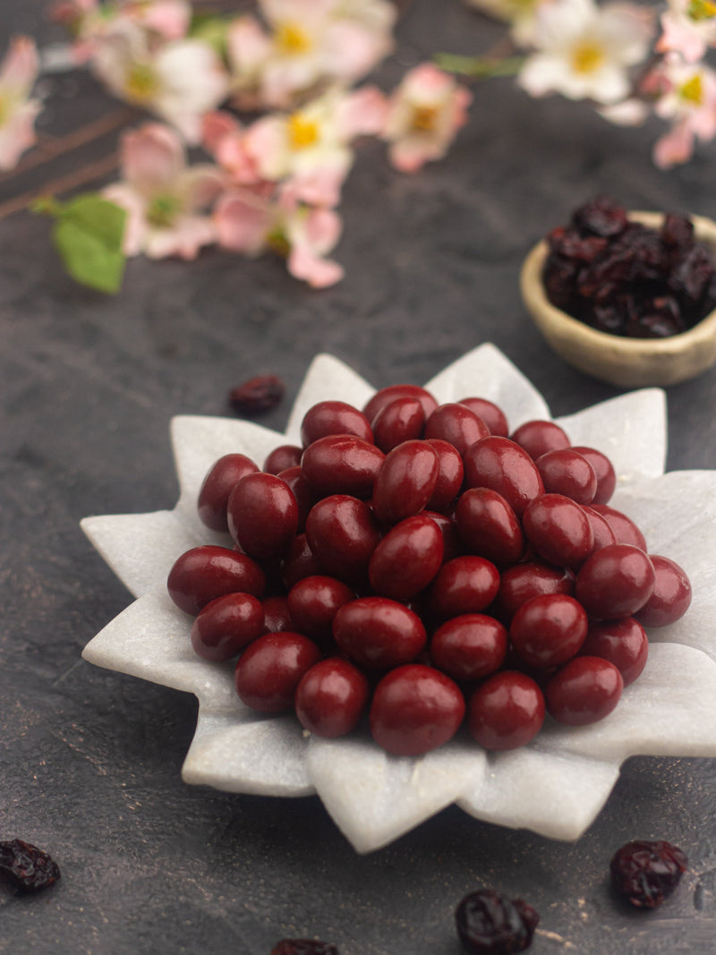 Chocolate Coated Cranberries