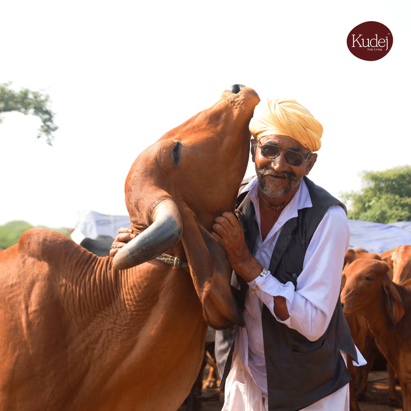 Desi Gir Cow A2 Ghee