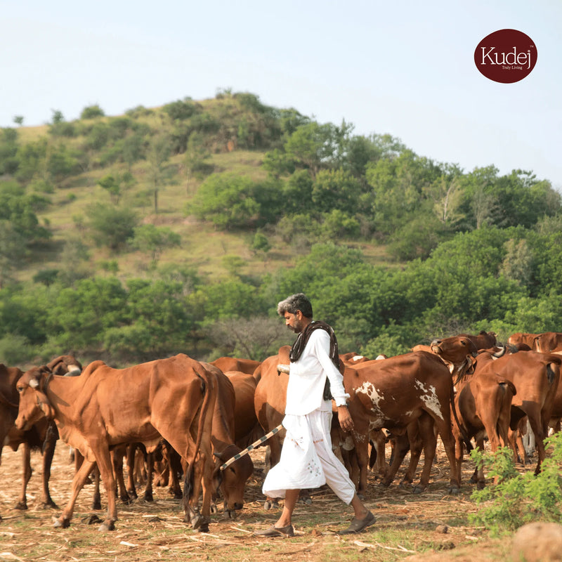 Desi Gir Cow A2 Ghee