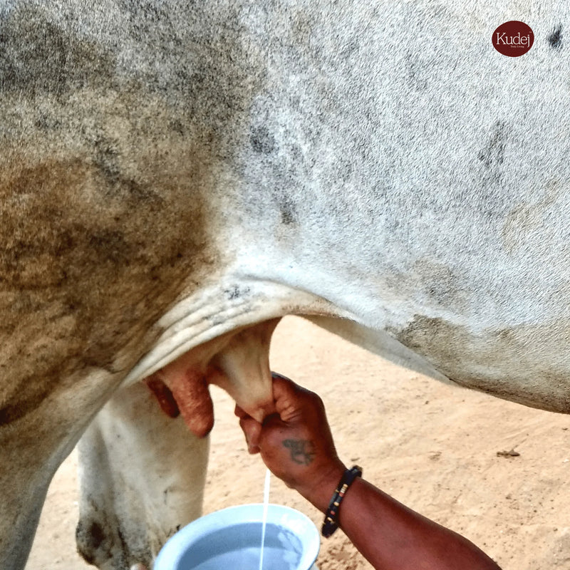 Desi Hallikar Cow A2 Ghee