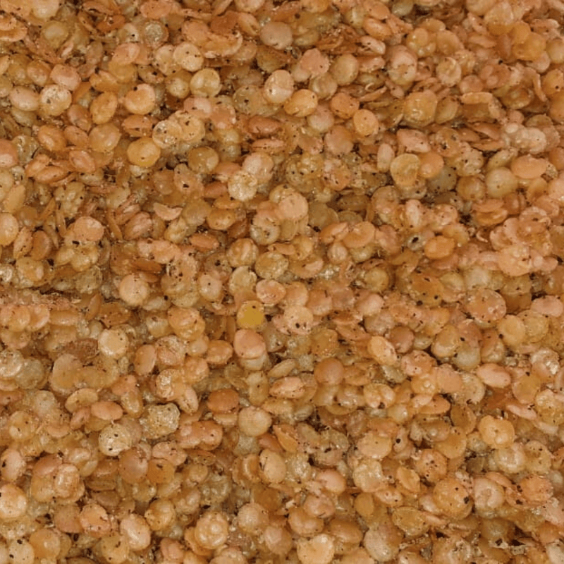 Masoor Dal