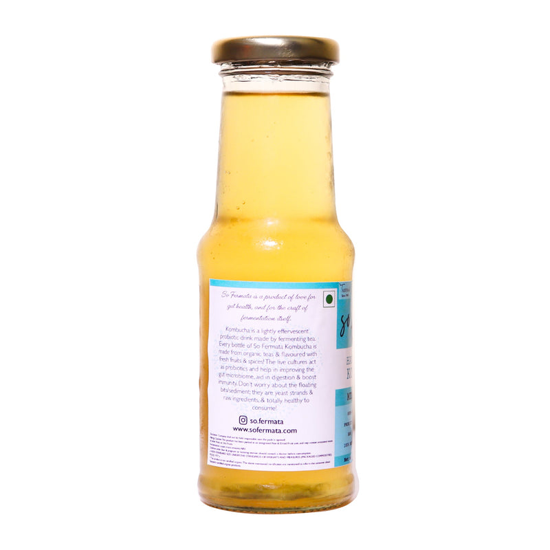 Fermented Tea-Mint Ginger