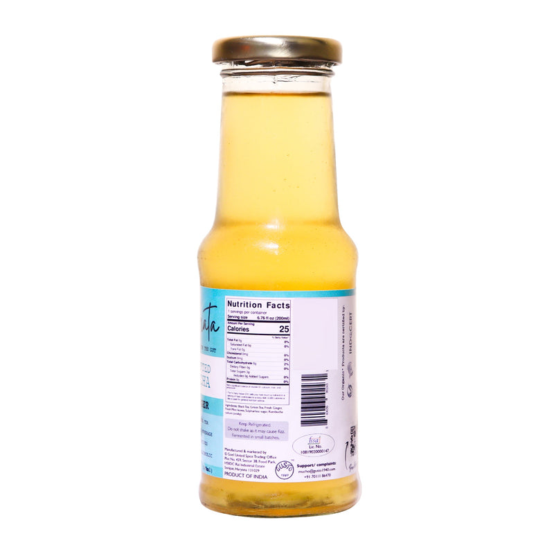 Fermented Tea-Mint Ginger